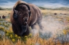 Grunt of the Rut