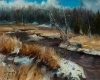 Snowy Mountain